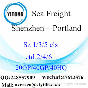 Shenzhen Port Sea Vrachtverzending naar Portland